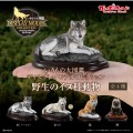 生物大图鉴 陈列模型系列 野生的犬科动物