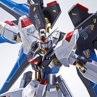METAL ROBOT魂 ＜机动战士系列＞ 强袭自由高达 [Re:Coordinate]