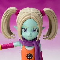 S.H.Figuarts 帕吉