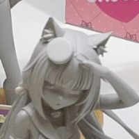 猫娘乐园 香草