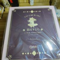 斯黛拉可爱捏
