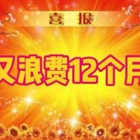 【2024年终总结】毫无长进的一年...