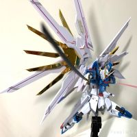 飞升自由随拍+非凡哥if.ver