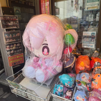 去年逛秋叶原店门口看到的