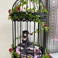 抄作业晒图