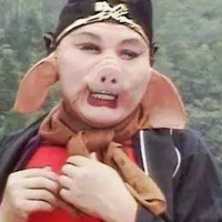 86版西游记 1/6 猪八戒 可动人偶（暂称）