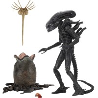 NECA《异形》40周年纪念终极版大型异形（Big Chap）