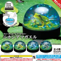 水穹顶工厂 日本雨蛙