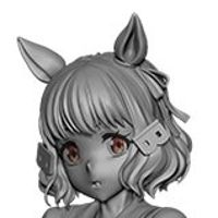 赛马娘 芦毛灰姑娘  双铃莱特