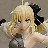 Reincarnation 少女剑士（Saber Lily）~与世隔绝的理想乡~