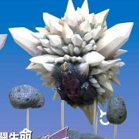 战斗生命体 太空哥斯拉 飞行形态（再贩版）