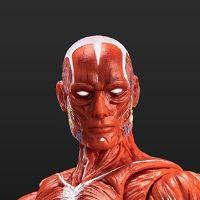 《Human Muscle Model》1:12超可动人偶 红色