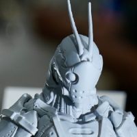 蟲系列 B0200「蝗虫」