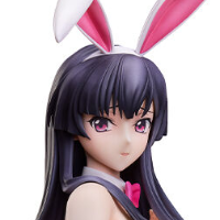 B-style  CODE GEASS 夺回的萝杰 春柳宫樱 兔女郎版