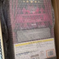 刚到的黑皮