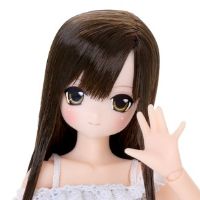 POD020-LCD Sarah's a la Mode 理世/甜蜜时光穿搭套装 ～暗棕色头发～(AZONE网上商店限定)