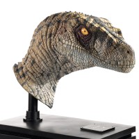 侏罗纪公园3：雌性迅猛龙半身像