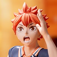 《排球少年》动画版 高端奖品人偶“日向翔阳”