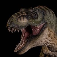 172282 零集易动系列 暴龙3.0 起源永恒女皇与誓言君主 公暴龙