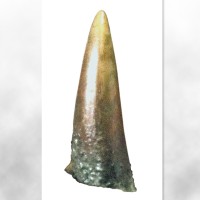 加美拉2 加美拉的牙 复制品