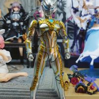代理版究光赛罗