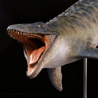 侏罗纪世界4重生 30比例大沧龙