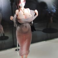 上海2025WF展实物图参考