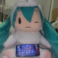 兔年很可爱的，只是官图超级丑