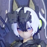 女神装置 YGGDRASIS 加姆 : 撕裂者