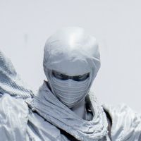 转轮科技 惊奇山口 龙隼 （忍者龙剑传）