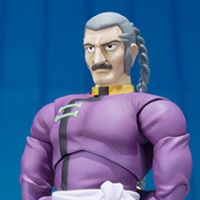 S.H.Figuarts 东方不败