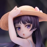 我的妹妹不可能那么可爱 黑猫（五更琉璃）白猫