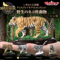 生物大图鉴 陈列模型系列 野生猫科动物