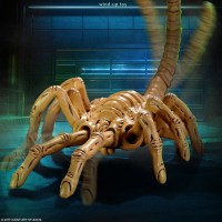 闪电奇舞 异形 抱脸虫