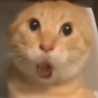 对不起，但是真的很像