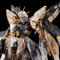 MGEX 1/100 强袭自由高达 [机械透明版]