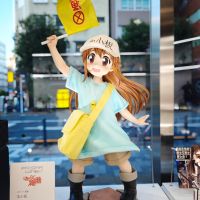 【展品】P1S 工作细胞 等身高血小板 返图搬运