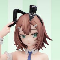 BiCute Bunnies 笨蛋，测验，召唤兽 木下秀吉