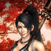 转轮科技 惊奇山口 忍者龙剑传3 刀锋边缘 红叶