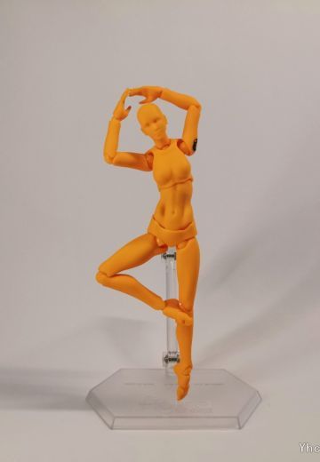 肥姑妈♀ 胡萝卜素体