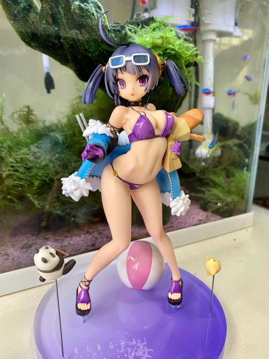 碧蓝航线 宁海 食欲之夏ver. TF版