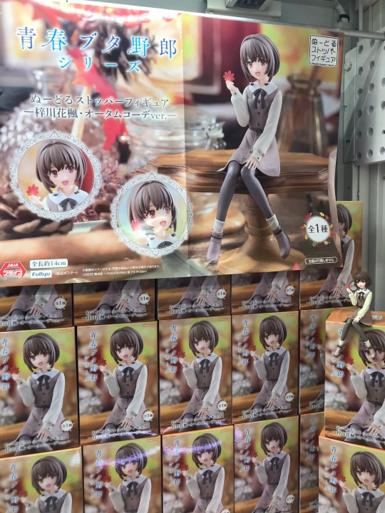 ぬーどるストッパー 梓川花楓・オータムコーデver.