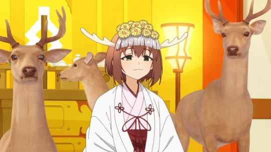 鹿来鹿往
