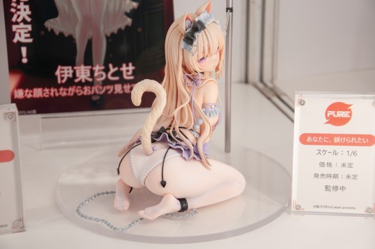 wf2025个人纪录
