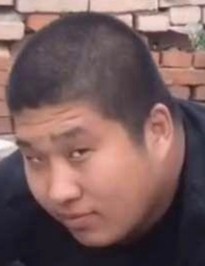在电车里劈砖失败的大虎保柚莉爱