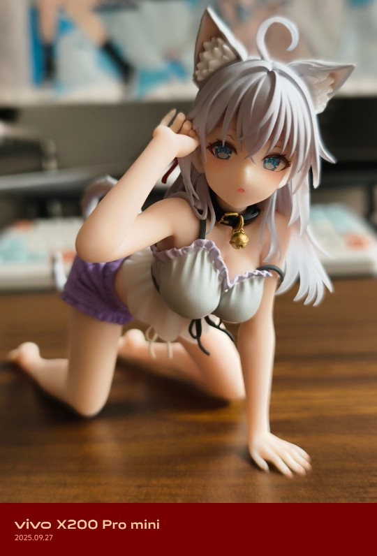 猫娘艾莉😋