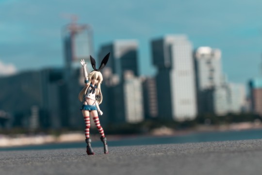 又来海边了