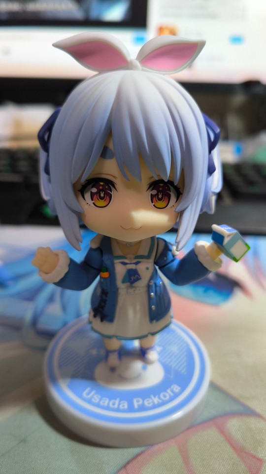 怎么会有这么可爱的小学兔