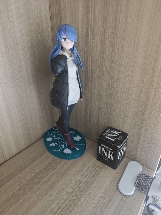 书柜上的长发芝麻凛