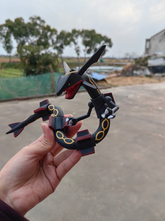 改色闪光烈空坐